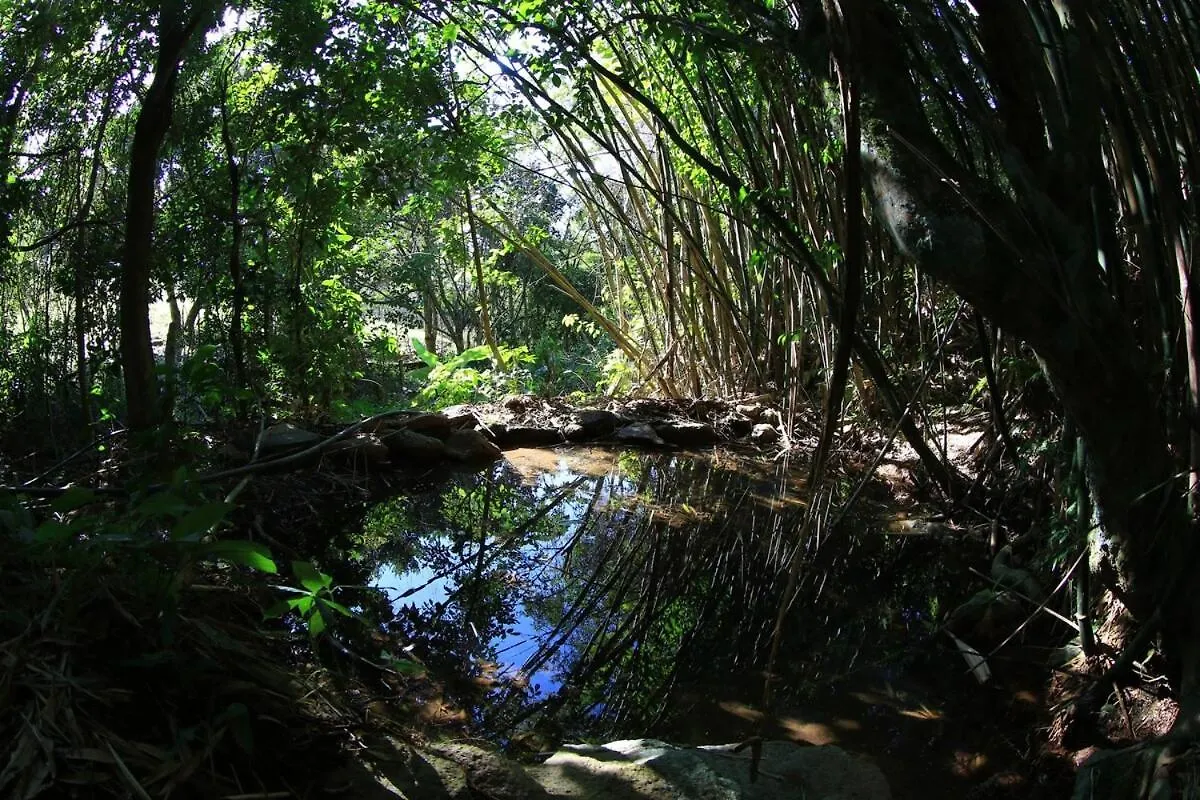 Casa Em Garopaba - Praia Silveira, Brasil 度假居